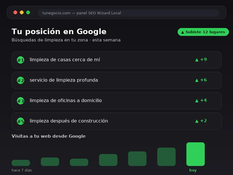 Panel de SEO local mostrando posiciones en el mapa para búsquedas de limpieza